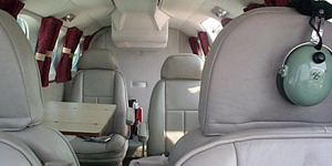 Cessna 340 view for Naples charter