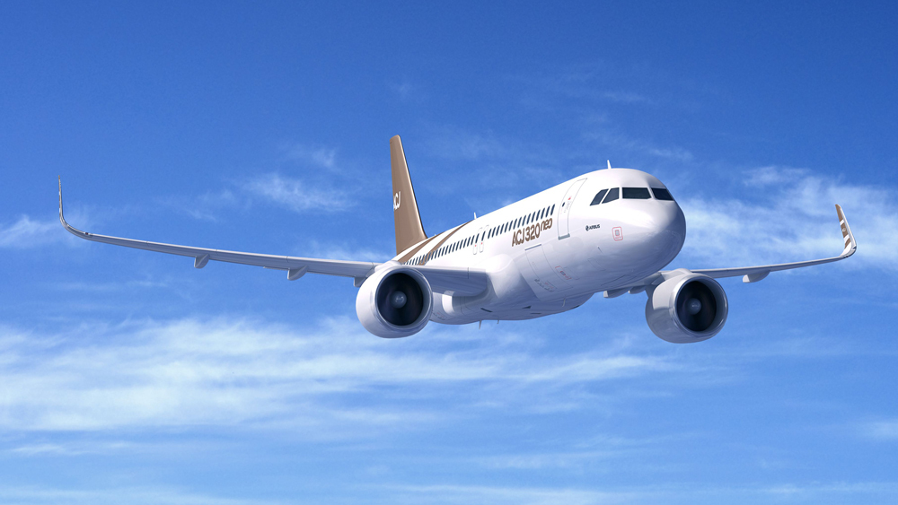 Airbus ACJ320 vip airliner for Naples charter